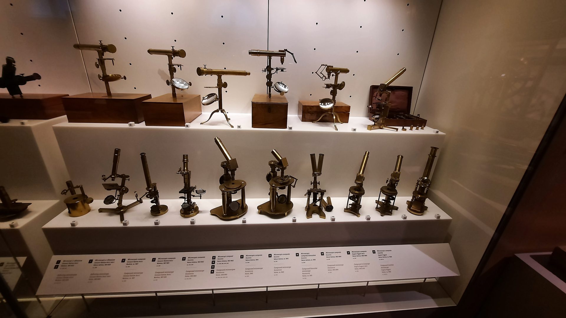 Giovan%20Battista%20Amici%27s%20microscopes%2C%20Museo%20Galileo%2C%20Florence%20-%2001.jpg
